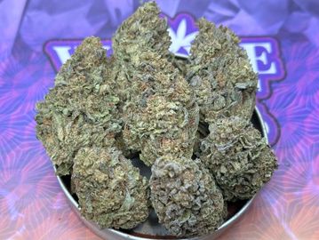Close-up of cannabis buds arranged on a surface with colorful background.