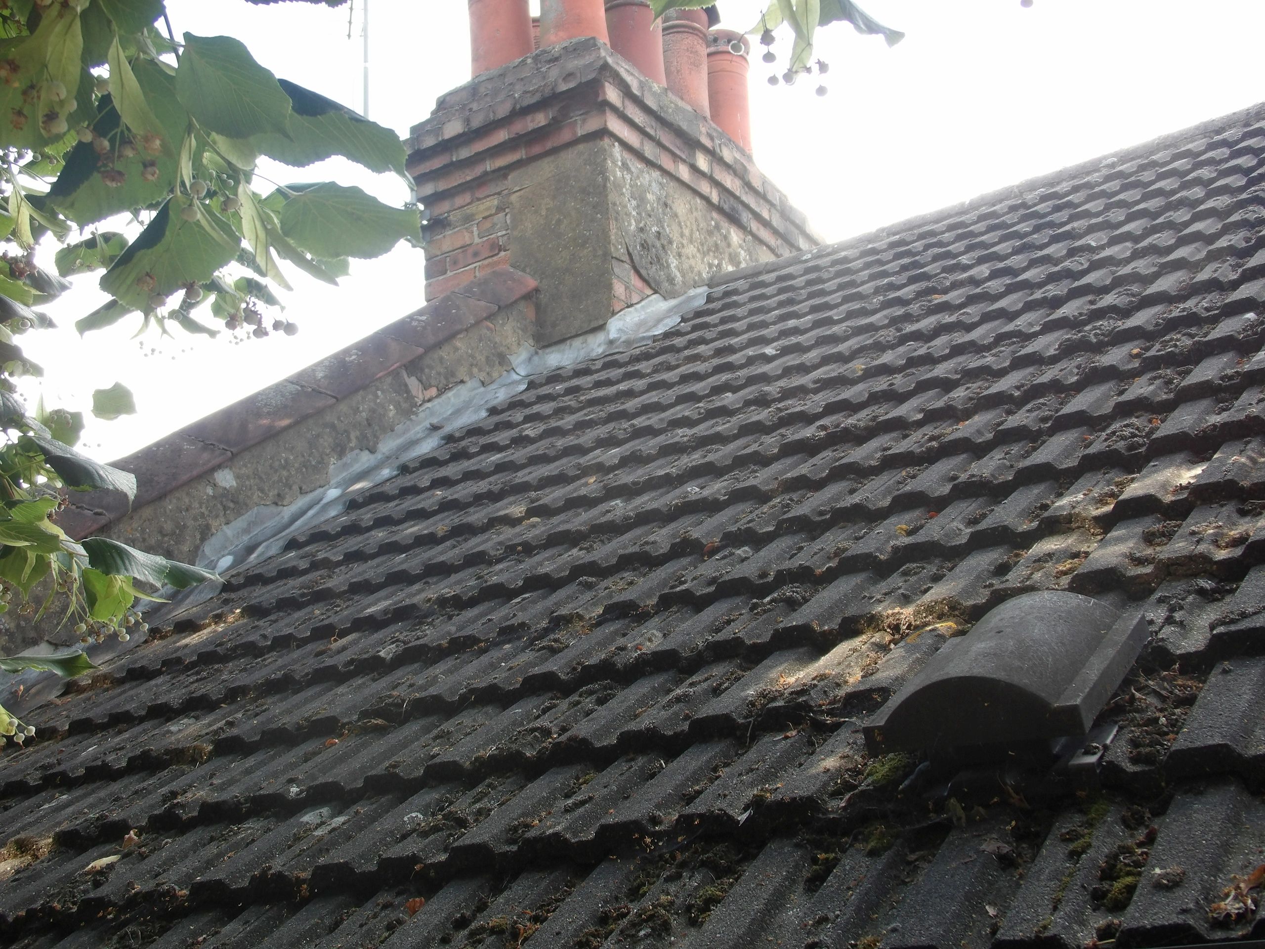 For Damp Surveys, general roof inspection using a telescopic camera, &Interior Design consultation.
