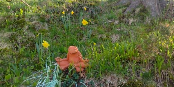 A terracotta frog statue sits among daffodils and grass on a hillside.