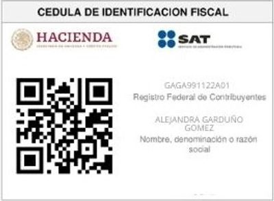 MEXICO RFC SAMPLE
