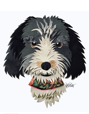 Bernedoodle