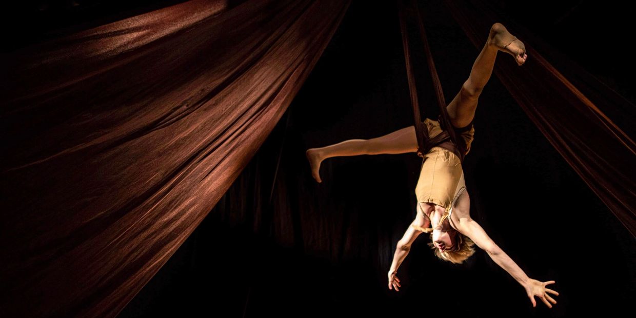 Aerial Hammock Performance | LA Aerialists