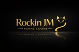 Rockin JM Maine Coons