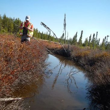 Habitat assessment can assist with regulatory review such as getting an AHPP or a DFO review.