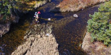 Fish sampling to confirm what fish may use the project area.