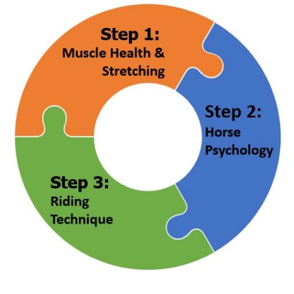 Whole Horse Coach Horse Stretching and Riding Training Video