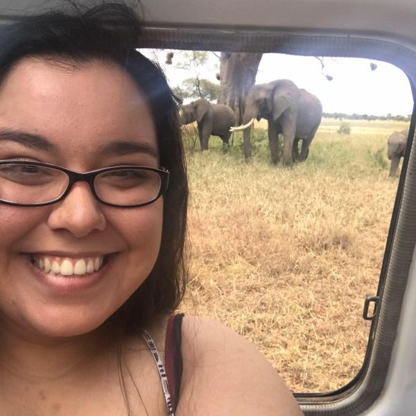 Sarah DiPiazza, on an African Safari in Tanzania Tarangire National Park