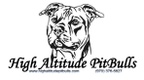 High Altitude Pitbulls