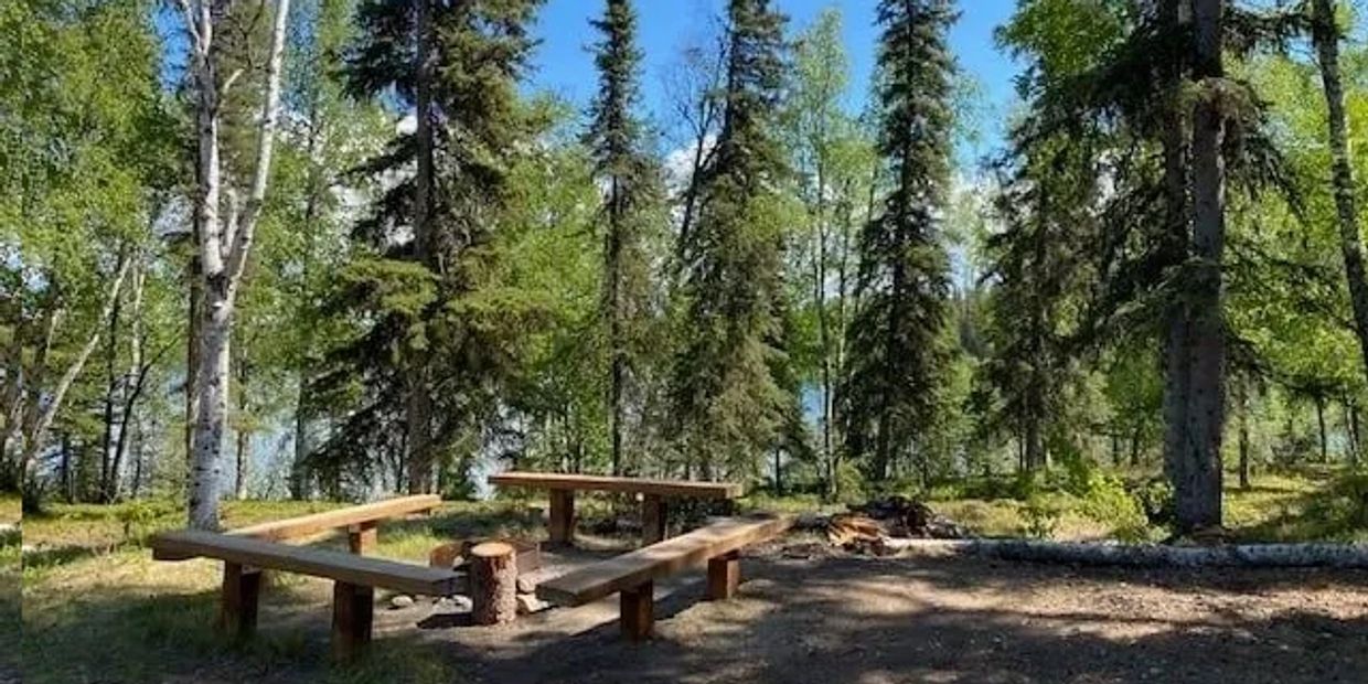 Wooden benches and table in a forest clearing under blue sky.