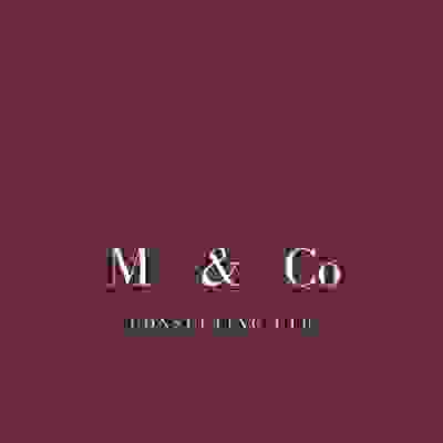 M & Co Consulting