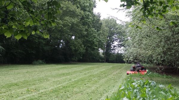 Quick tidy up of a paddock with a flail