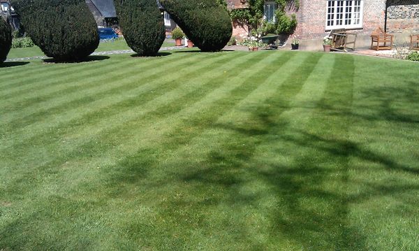 Striped mowing of a formal lawn