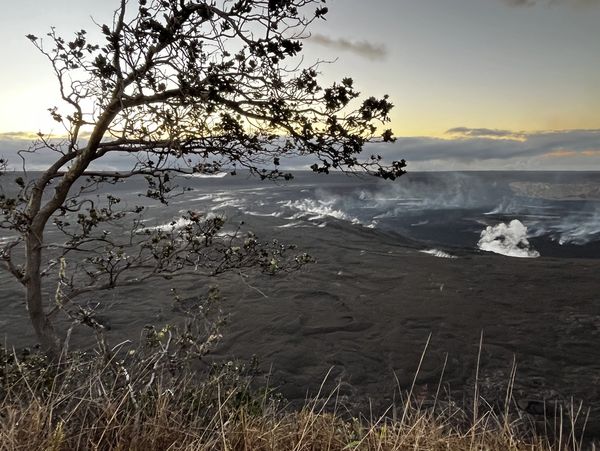 Volcanic steam vents erupting at sunset behind a silhouetted tree.
