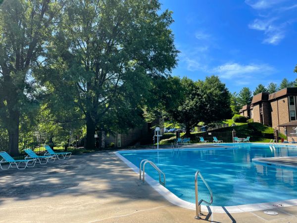 Sunny day at an empty outdoor pool surrounded by trees.