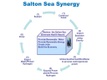 Salton Sea Synergy