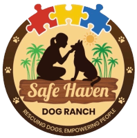 Safe Haven Dog Ranch