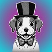 Dog's Tuxedo Groom & Spa