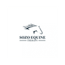 sozoequinetherapy.com