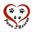 Paws 2 Rescue