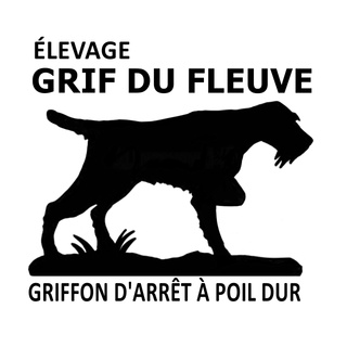 Grif du Fleuve