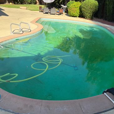 Green pool with algae at beginning of cleaning process