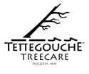 Tettegouche Treecare