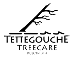 Tettegouche Treecare