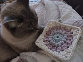 Yarn Fur Brains