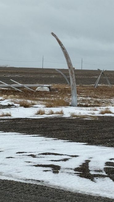 We love going the extra mile or a thousand…. We were so lucky to spend some time in point hope Alask