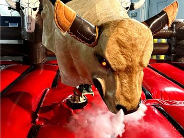 Mechanical Bull