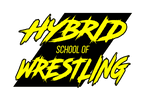 Hybrid School of Wrestling