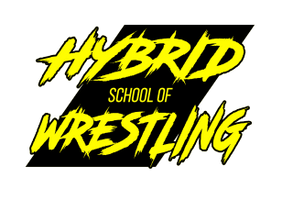 Hybrid School of Wrestling