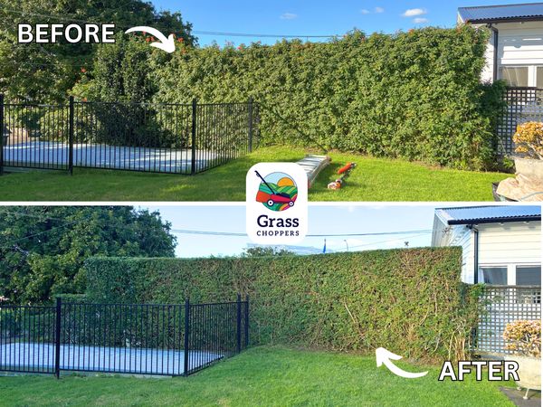 Grass Choppers garden maintenance and hedge trimming Sandringham Auckland