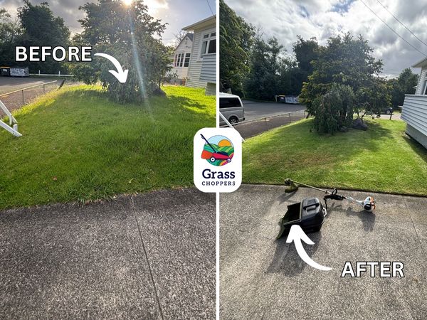 Grass Choppers lawn mowing with sharp edges in Pt Chev