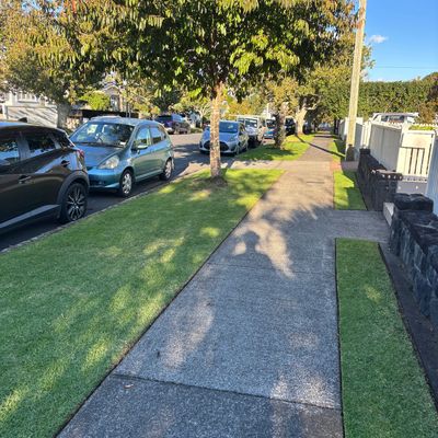 Sidewalk with trees and parked cars on a sunny day.