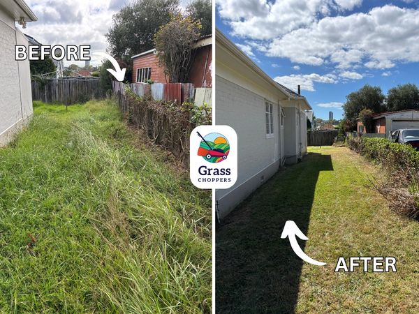 Grass Choppers lawn mowing clean up in Grey Lynn