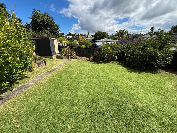 Grass Choppers one off mow in Pt Chev