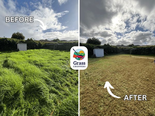 Before and after garden tidy-up in Mount Albert by Grass Choppers.