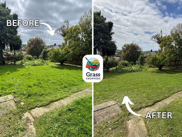 Before and after lawn mowing in Sandringham by Grass Choppers