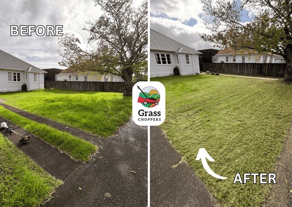 One off lawn mow in Sandringham, Auckland by Grass Choppers