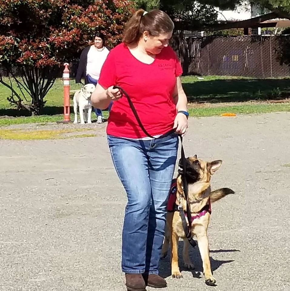 big basin dog boarding