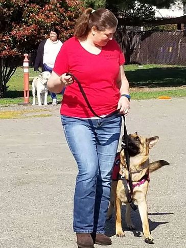 Kari working with a German Shepherd