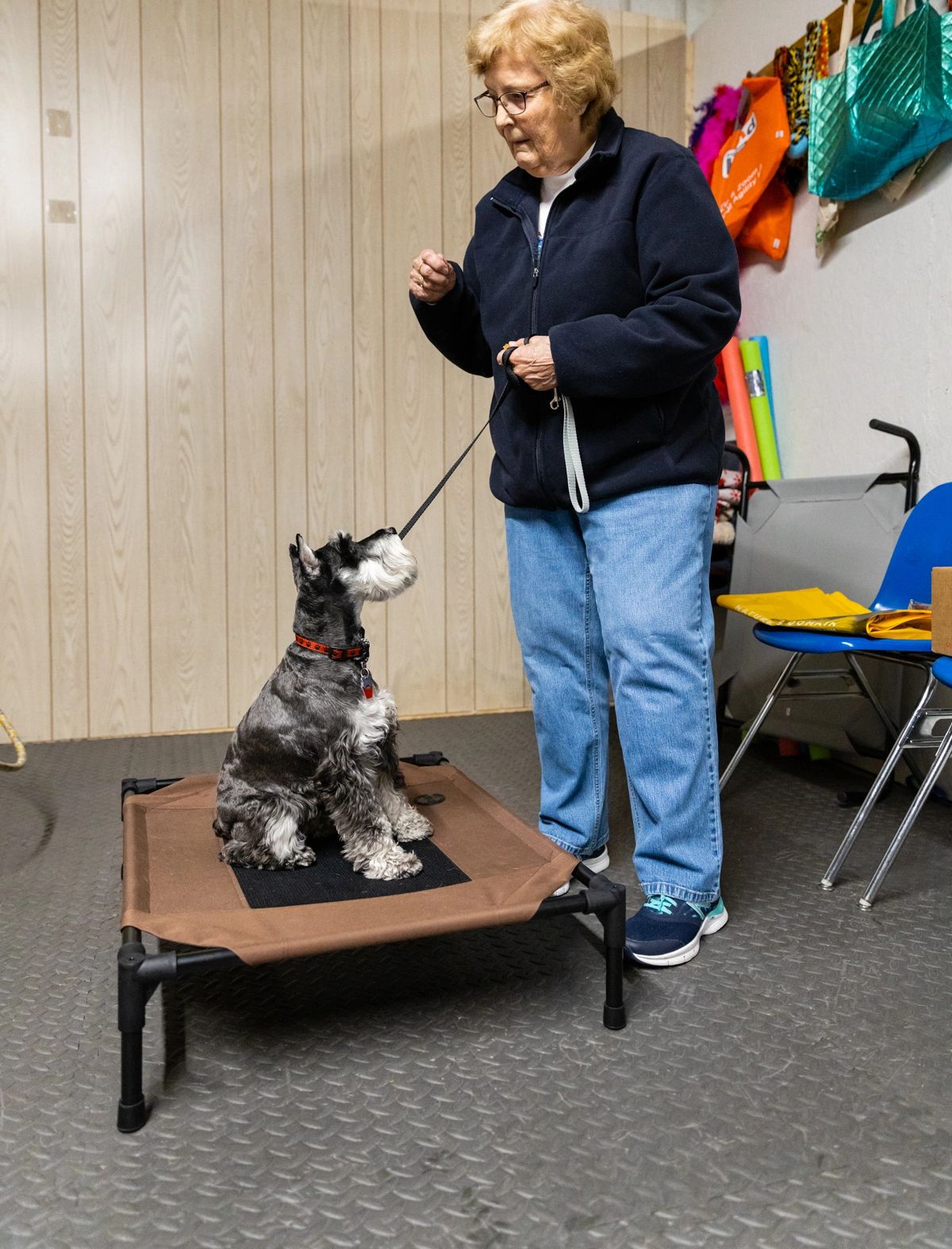 How Much Does A Private Dog Trainer Make