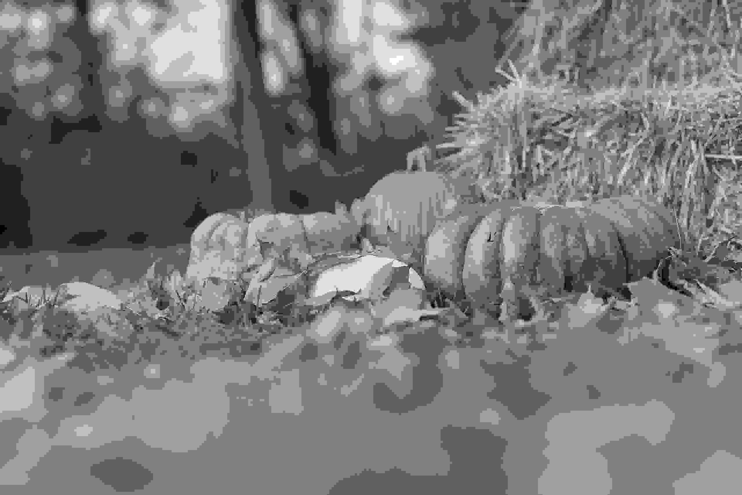 Irrigation Water, Water Conservation Fillmore, Utah