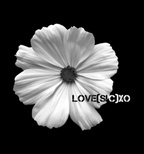 love(sic)XO