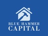 Blue Hammer Capital