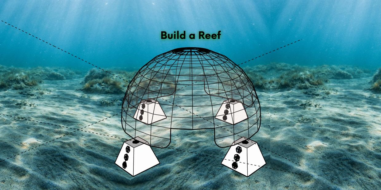 Build a Reef Initiative