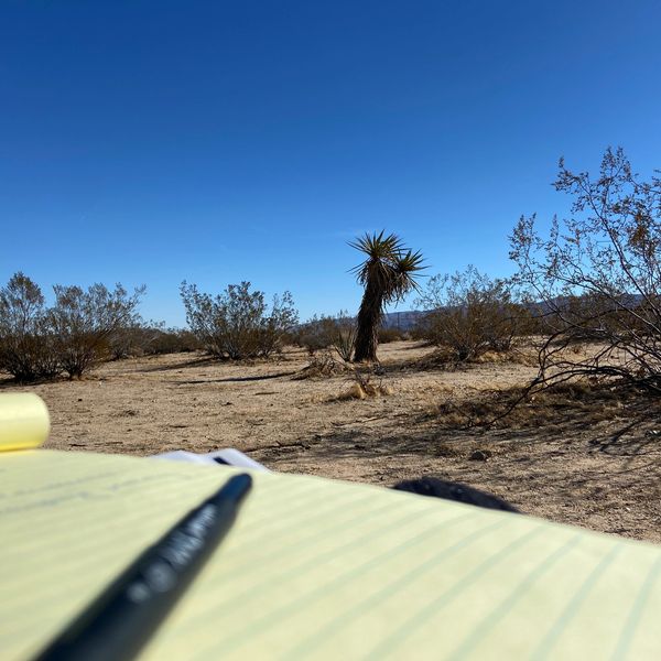 closeup shot of a notepad and a pen 