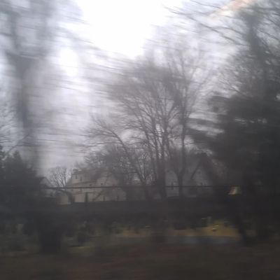 a blurred image of trees and the road 