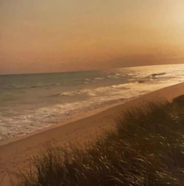 Sunset over a beach with waves and tall grass.